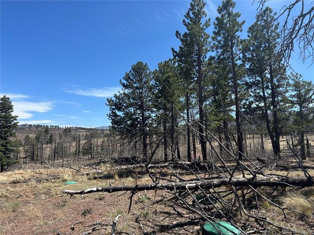 lot 542 Forbes Park, Fort Garland, CO 81133