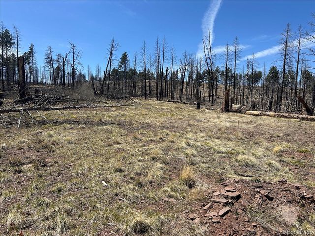 lot 542 Forbes Park, Fort Garland, CO 81133