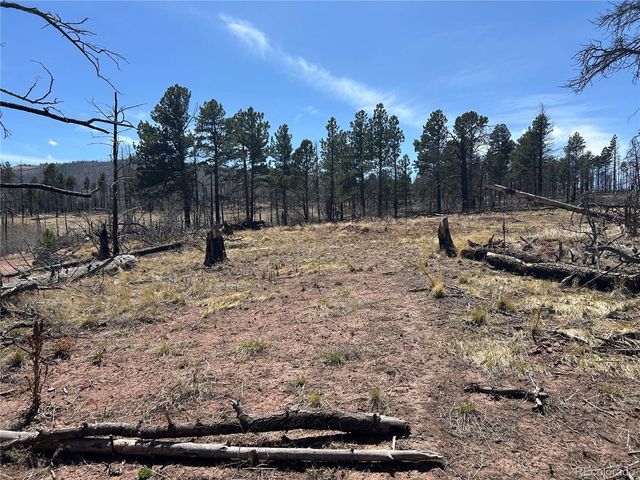 lot 542 Forbes Park, Fort Garland, CO 81133