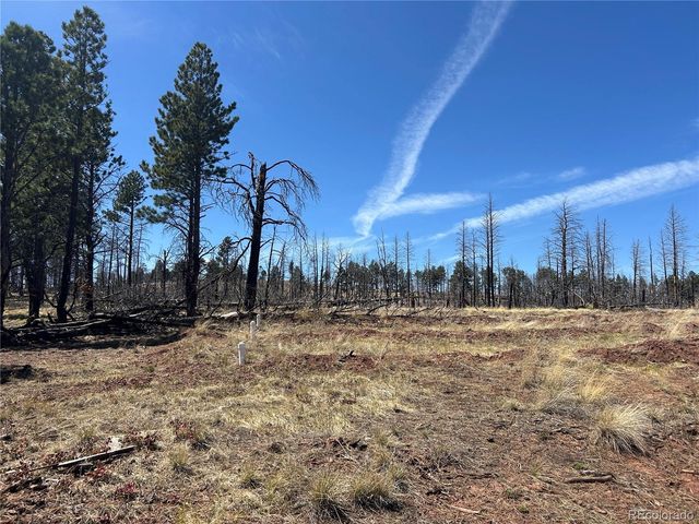 lot 542 Forbes Park, Fort Garland, CO 81133