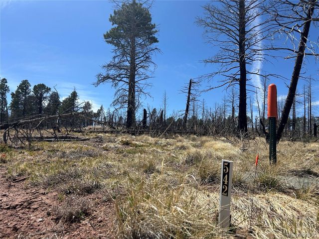 lot 542 Forbes Park, Fort Garland, CO 81133