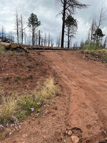 lot 542 Forbes Park, Fort Garland, CO 81133