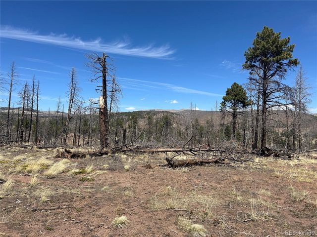 lot 542 Forbes Park, Fort Garland, CO 81133