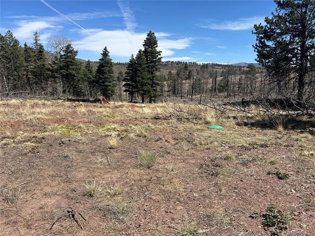 lot 542 Forbes Park, Fort Garland, CO 81133