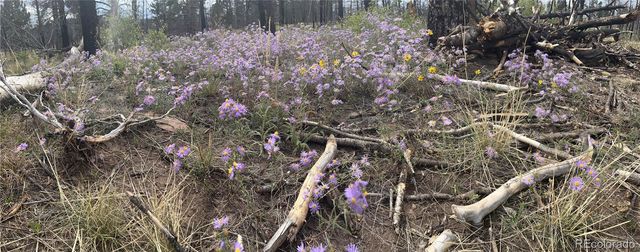 lot 542 Forbes Park, Fort Garland, CO 81133