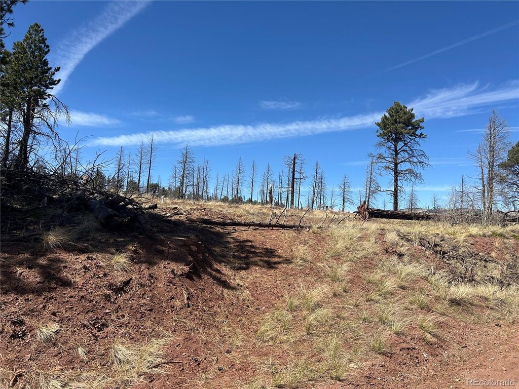 lot 542 Forbes Park, Fort Garland, CO 81133