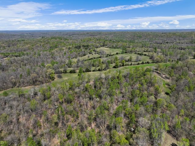 0 Shiloh Canaan Rd, Palmyra, TN 37142