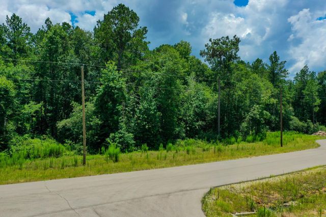 34-15 Sandstone Lane, Huntsville, TX 77340