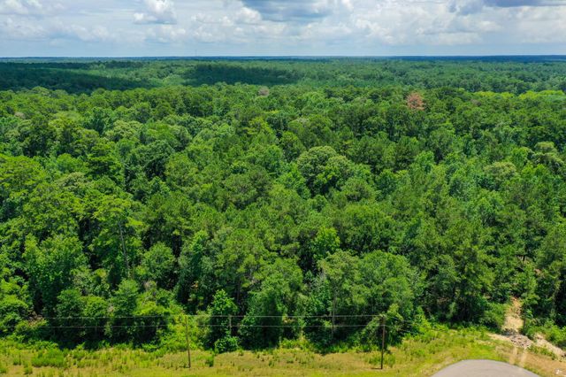 34-15 Sandstone Lane, Huntsville, TX 77340