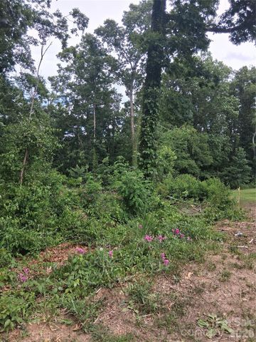 25 Oak Hill Drive 1, Asheville, NC 28806