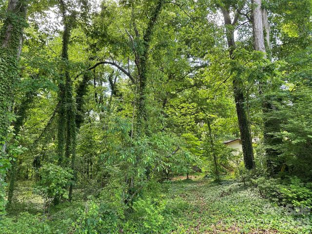 25 Oak Hill Drive 1, Asheville, NC 28806