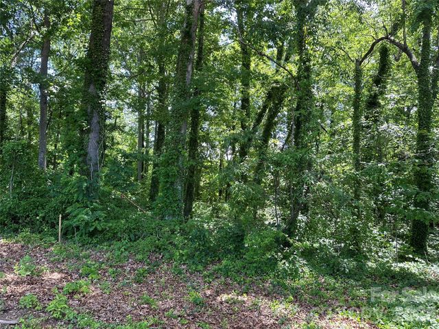 25 Oak Hill Drive 1, Asheville, NC 28806