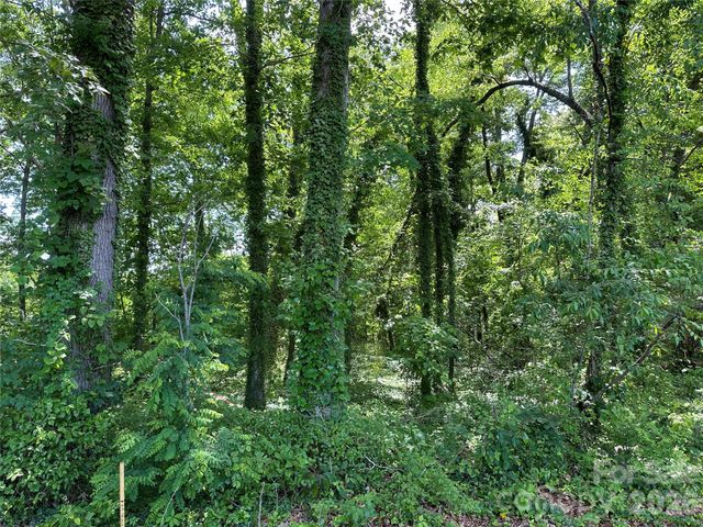 25 Oak Hill Drive 1, Asheville, NC 28806