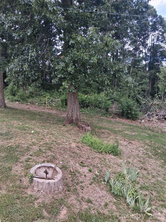 25 Oak Hill Drive 1, Asheville, NC 28806
