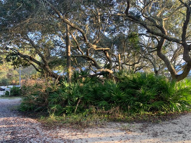 0 Williams, Santa Rosa Beach, FL 32459