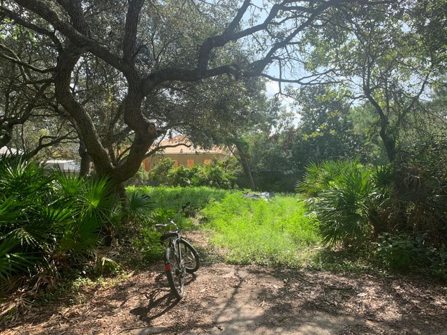 0 Williams, Santa Rosa Beach, FL 32459