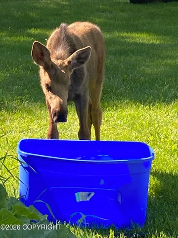 21315 Scenic Drive, Chugiak, AK 99567