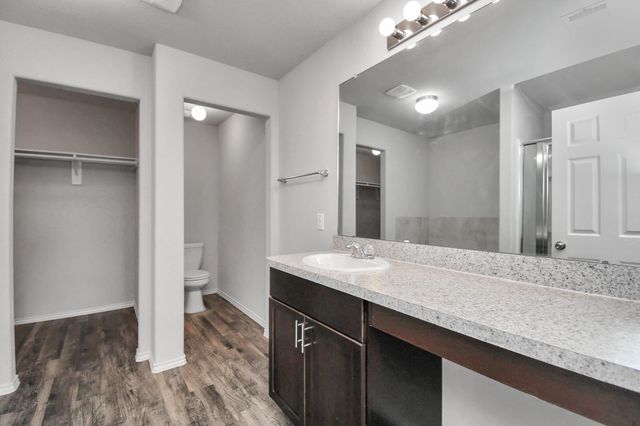 5342 Prairie Dog Fork Lane, Richmond, TX 77469