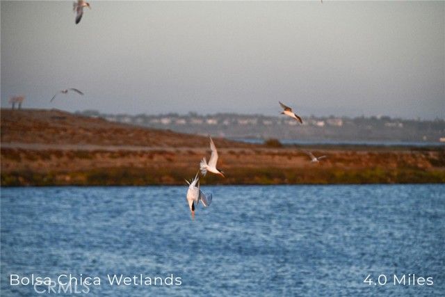 414 Main Street 420, Huntington Beach, CA 92648