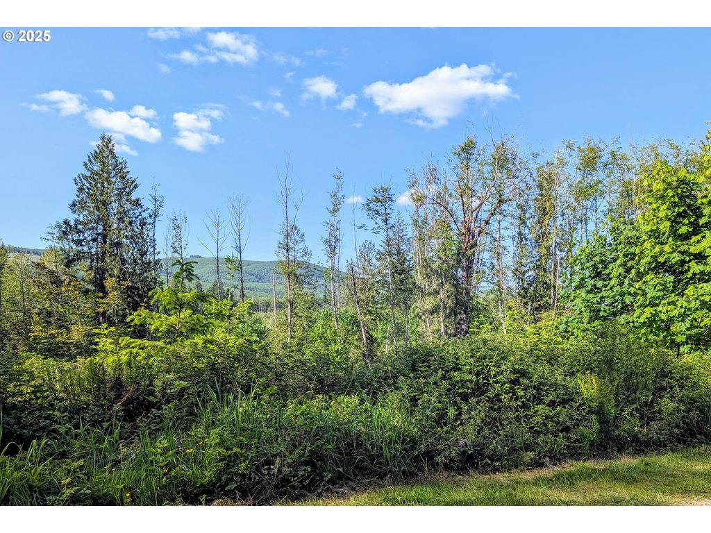 267 WILDCAT Rd, Toutle, WA 98649