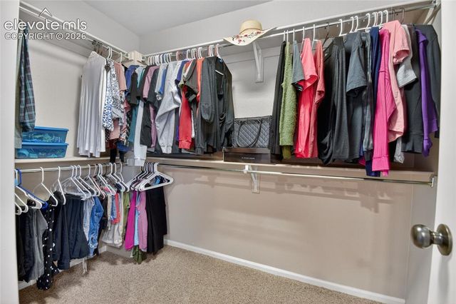 8349 Colorado Spruce Lane, Colorado Springs, CO 80927