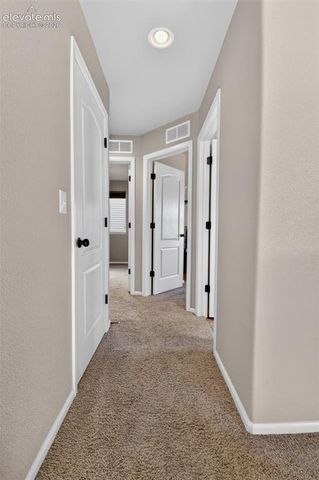 8349 Colorado Spruce Lane, Colorado Springs, CO 80927
