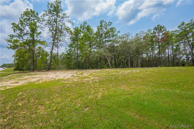 4136 W Findlay Street, Citrus Springs, FL 34433