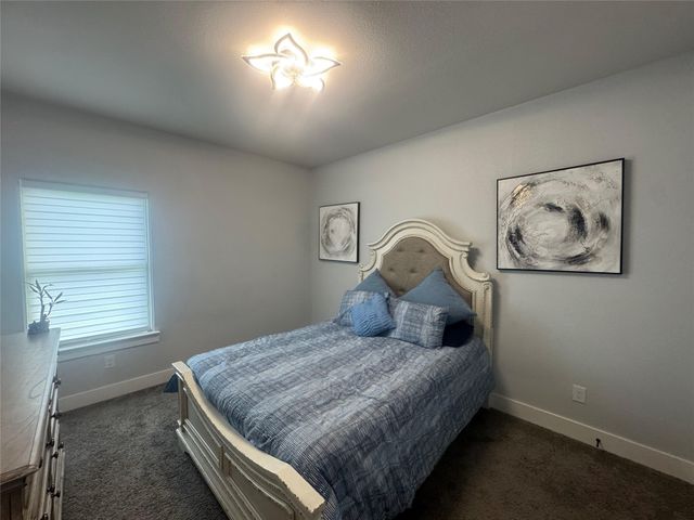 317 Lakeview Drive, Alvarado, TX 76009