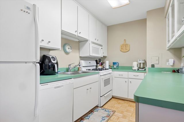11036 S Kilpatrick Avenue 3SE, Oak Lawn, IL 60453