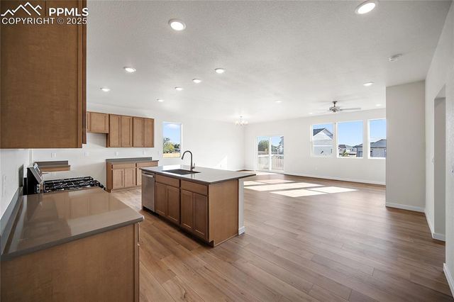 9311 Kitten Tail Court, Colorado Springs, CO 80925