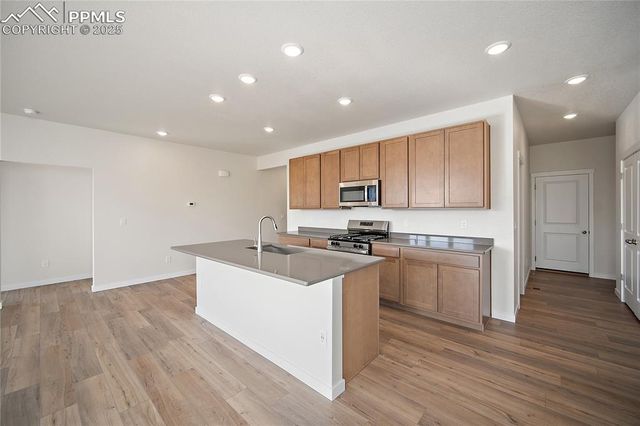 9311 Kitten Tail Court, Colorado Springs, CO 80925