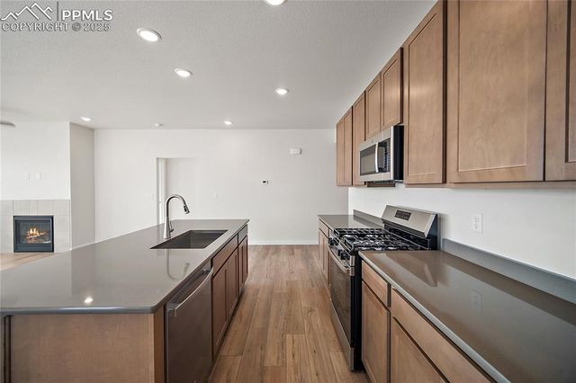 9311 Kitten Tail Court, Colorado Springs, CO 80925