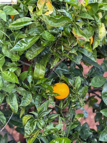 1650 Shasta St, Richmond, CA 94804