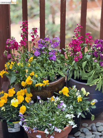 1650 Shasta St, Richmond, CA 94804