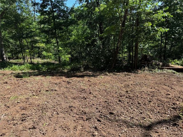 22005 Indian Bluff Road, Garfield, AR 72732