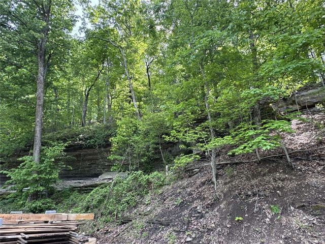 22005 Indian Bluff Road, Garfield, AR 72732