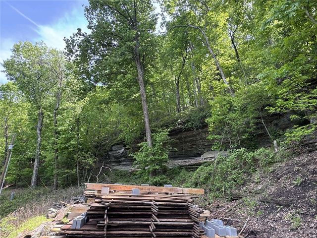 22005 Indian Bluff Road, Garfield, AR 72732