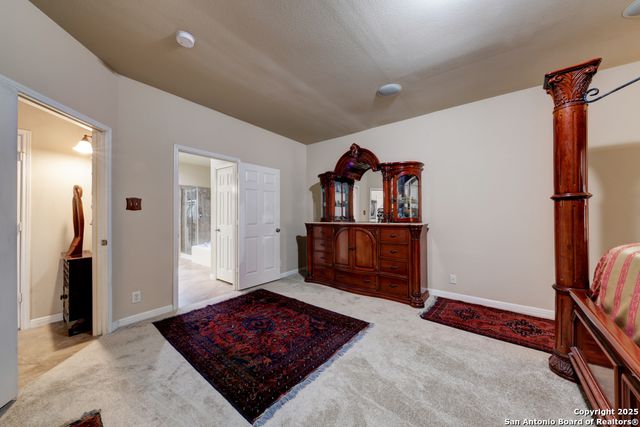 20522 Deer Garden CV, San Antonio, TX 78266