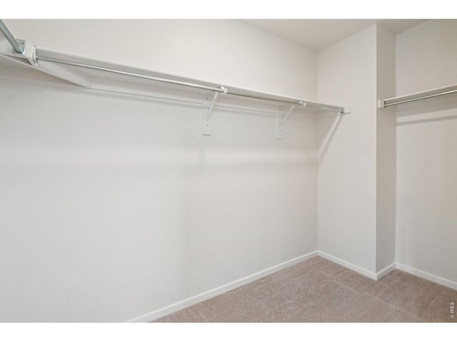 5672 Jedidiah Dr, Timnath, CO 80547