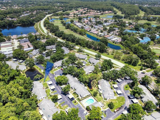 3454 KILLDEER PLACE, Palm Harbor, FL 34685