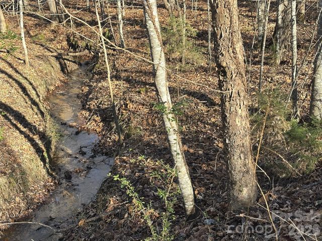 926 Cross Creek Drive, Rutherfordton, NC 28139