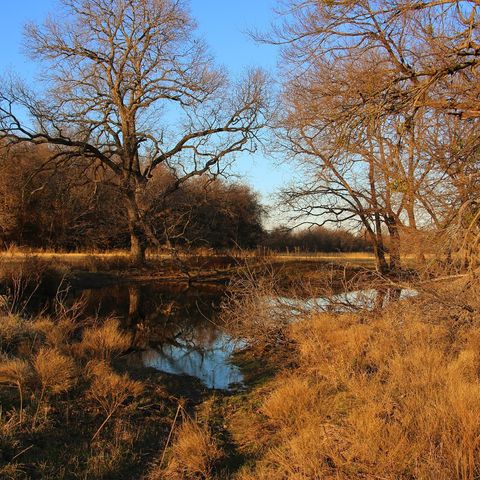 1671 County Road 3838, Bridgeport, TX 76426