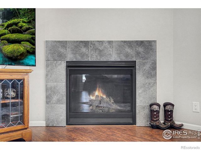 14145 N County Road 9, Wellington, CO 80549