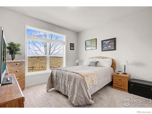 14145 N County Road 9, Wellington, CO 80549