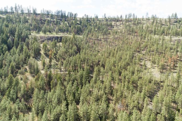 31875 Hawk Creek Ranch Rd N Rd, Davenport, WA 99122