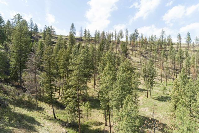 31875 Hawk Creek Ranch Rd N Rd, Davenport, WA 99122