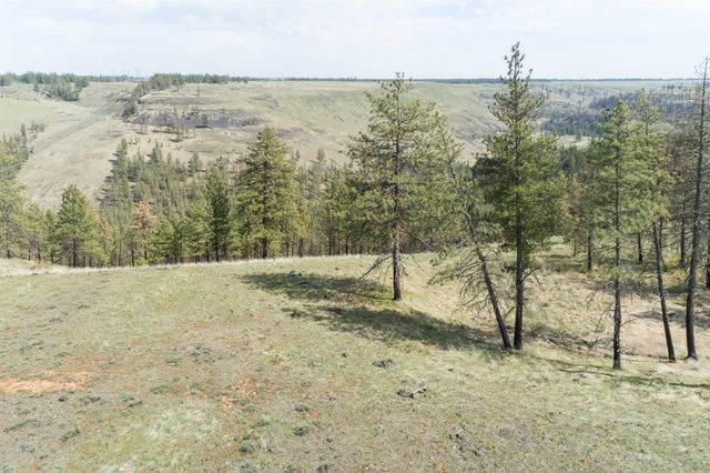 31875 Hawk Creek Ranch Rd N Rd, Davenport, WA 99122
