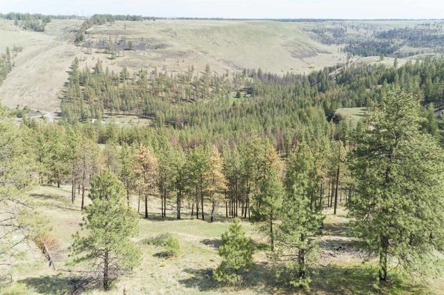 31875 Hawk Creek Ranch Rd N Rd, Davenport, WA 99122