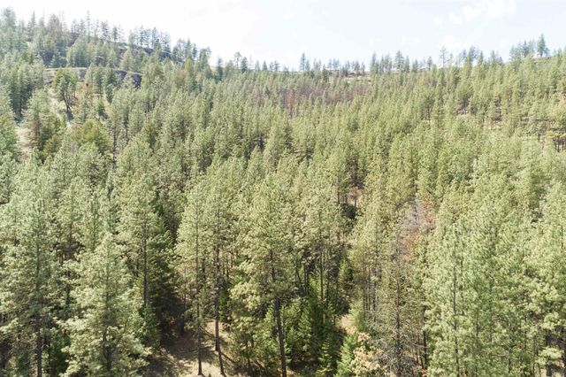 31875 Hawk Creek Ranch Rd N Rd, Davenport, WA 99122