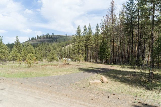 31875 Hawk Creek Ranch Rd N Rd, Davenport, WA 99122